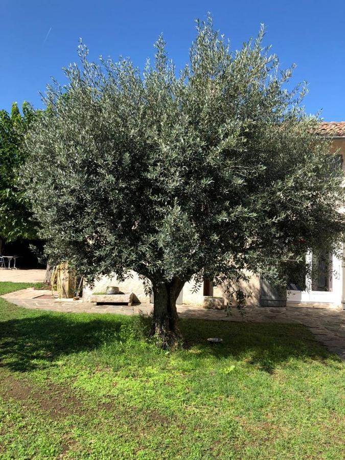 Gite Cocooning Avec Piscine Bouge-Chambalud Εξωτερικό φωτογραφία